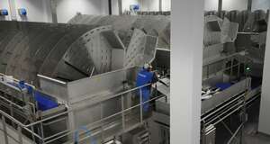 Innovation in Salmon Processing (Norway) · Delvalle Box